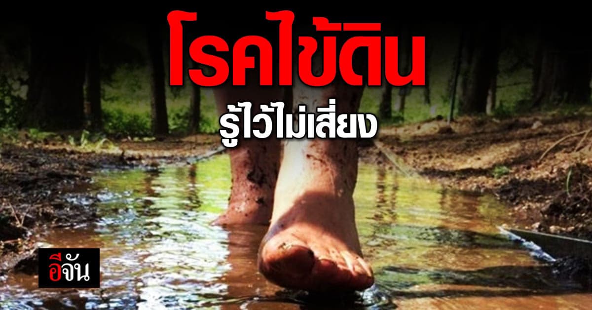 ทำความรู้จัก โรคไข้ดิน หรือ โรคเมลิออยด์ โรคหน้าฝนที่มาจาก ดิน