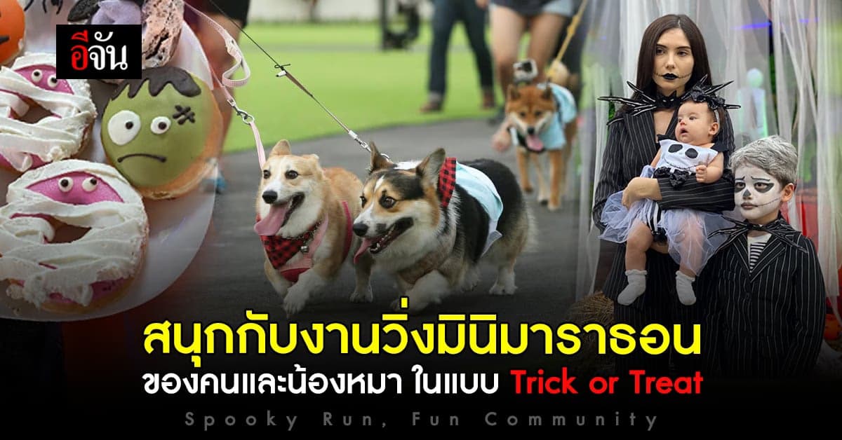 แสนสิริ เอาใจเหล่าคนรักเจ้าตูบสี่ขา ต้อนรับเทศกาล ฮาโลวีน