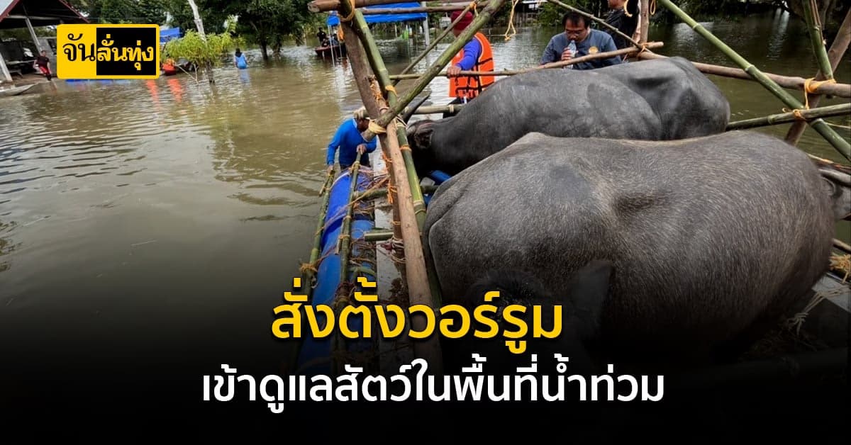 เฉลิมชัย สั่งตั้งวอร์รูม เข้าดูแลสัตว์ในพื้นที่น้ำท่วม