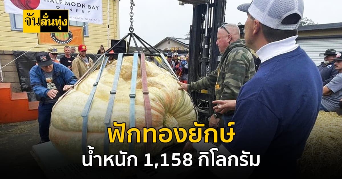 ฟักทองยักษ์ที่มีน้ำหนักมากถึง 1,161 กิโลกรัม ทุบสถิติใหม่ในสหรัฐฯ