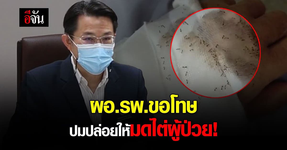 ผอ.รพ.ขอนเเก่น ย้ำชัด ไม่ได้นิ่งนอนใจ ปมปล่อยให้มดขึ้นผู้ป่วย