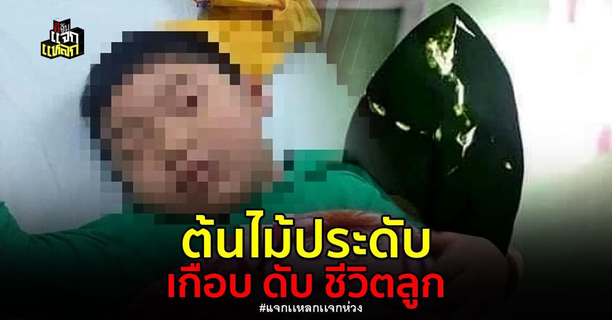 เด็กต่างประเทศ เคี้ยวใบ กวักมรมต แสบคอ ร้องลั่น ต้องหามส่งโรงพยาบาล