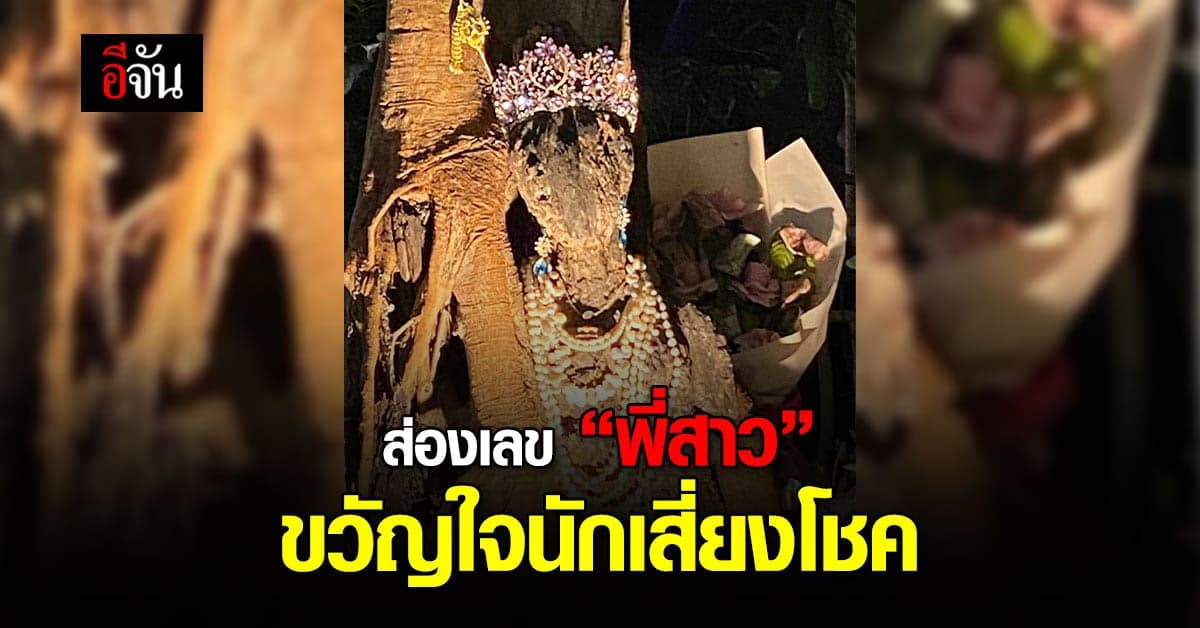 ตาใครตามัน! ส่องเลขพี่สาวต้นไม้ ขวัญใจนักเสี่ยงโชค