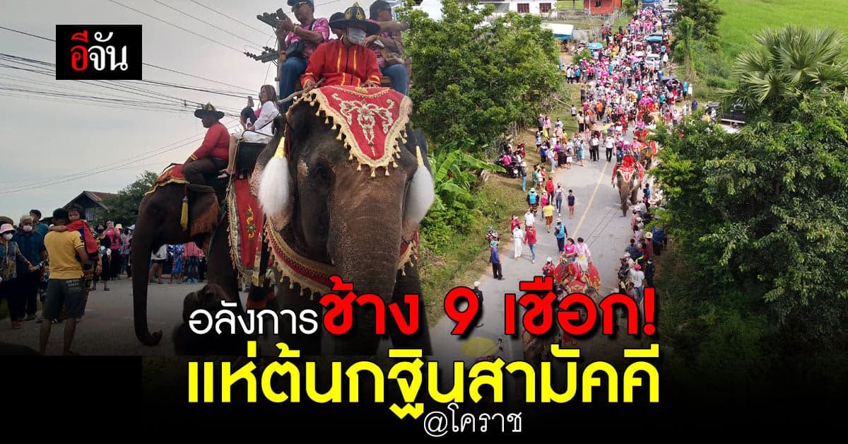ขบวนแห่ต้นกฐินสุดอลังการ! ช้าง 9 เชือก ร่วมเดินขบวน