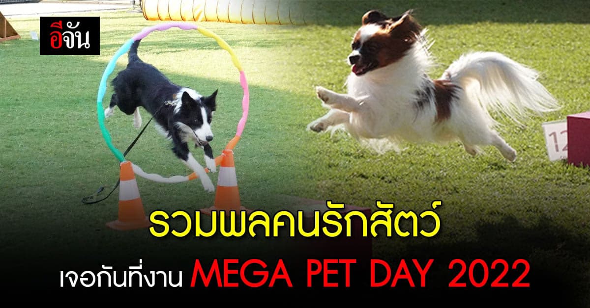 ชวนรวมพลคนรักสัตว์ ในงาน MEGA PET DAY 2022 : SCHOOL OF PETS