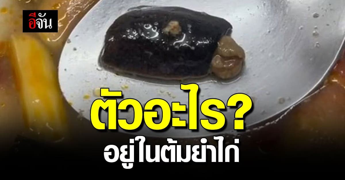 สาวซดต้มยำไก่เกือบหมดถ้วย แต่เจอแมงลิ้นหมาคำสุดท้าย