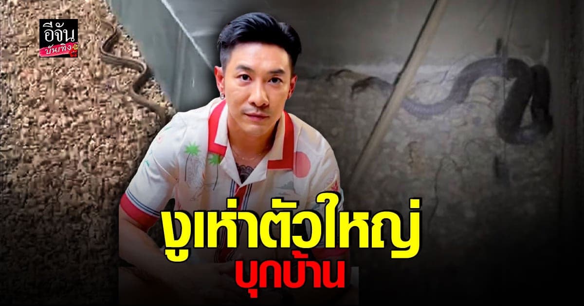 ทำเอาขนลุก เมื่อบอย พิษณุ เห็นงูเห่าเลื้อยเข้าบ้านอีกแล้ว