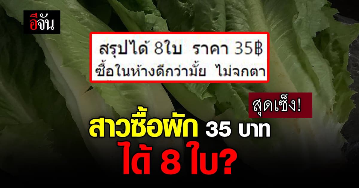 สุดเซ็ง! สาวซื้อผักสลัด ราคา 35 บาท ได้มาแค่ 8 ใบ ข้างในกลวง