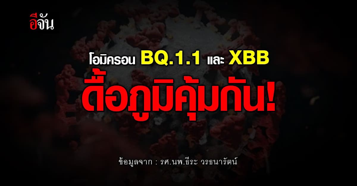 หมอธีระ ยกผลวิจัยชี้ โอมิครอน BQ.1.1 – XBB ดื้อภูมิคุ้มกัน