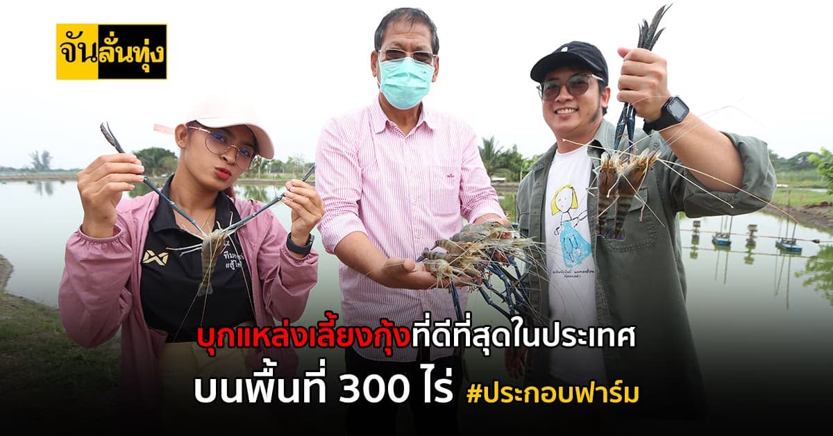 ต้นแบบการเลี้ยง กุ้งก้ามกราม ที่ดีที่สุด เลี้ยงยังไงให้ได้เงินล้าน