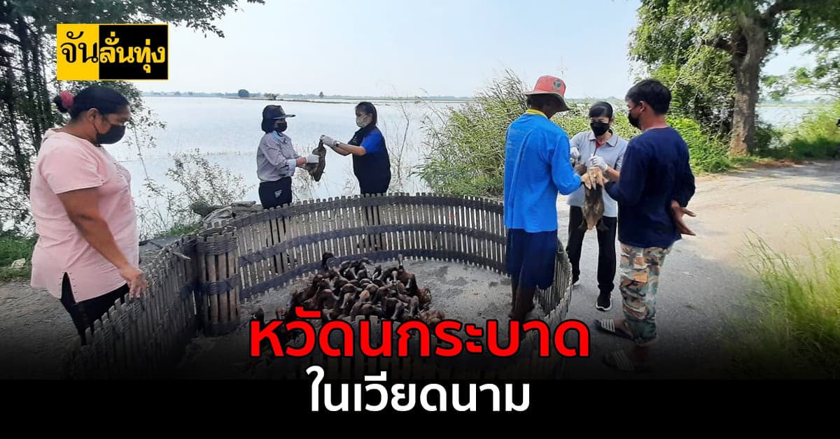 หวัดนกระบาดในเวียดนาม ปศุสัตว์เฝ้าระวังอย่างใกล้ชิด