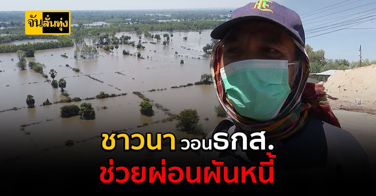โคราช ชาวนาวอนขอผ่อนหนี้ หลังน้ำท่วมเสียหายหนักสุดในรอบ 20 ปี