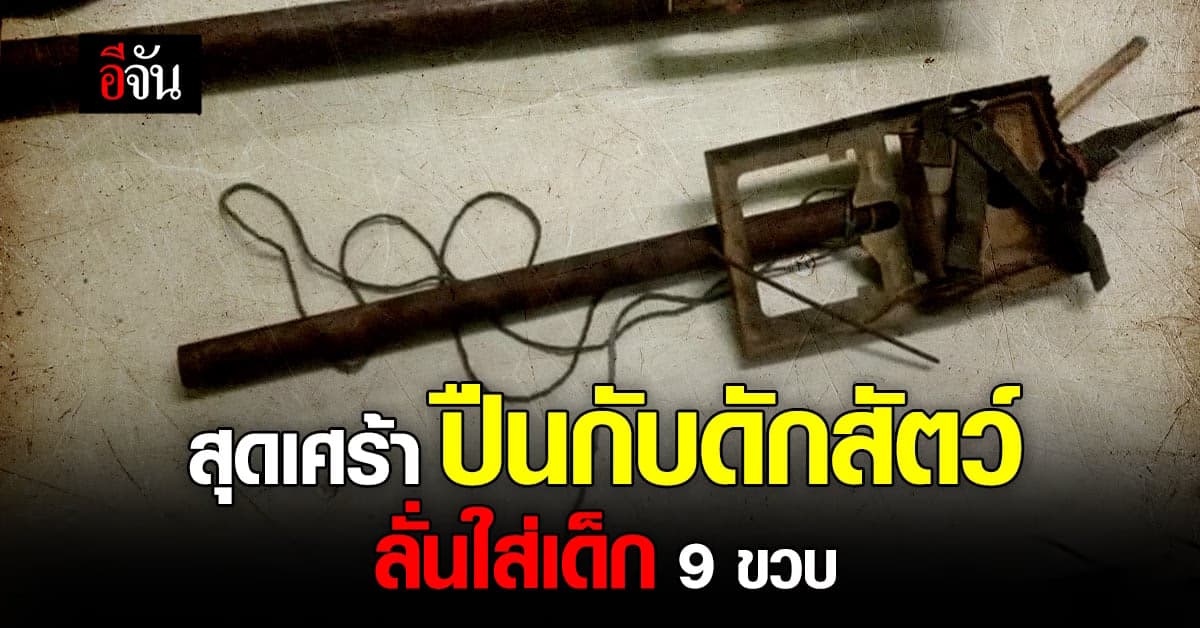 เด็กรับจ้างหักข้าวโพด หาเงินซื้อของเล่น เคราะห์ร้าย ปืนดักสัตว์ลั่นใส่