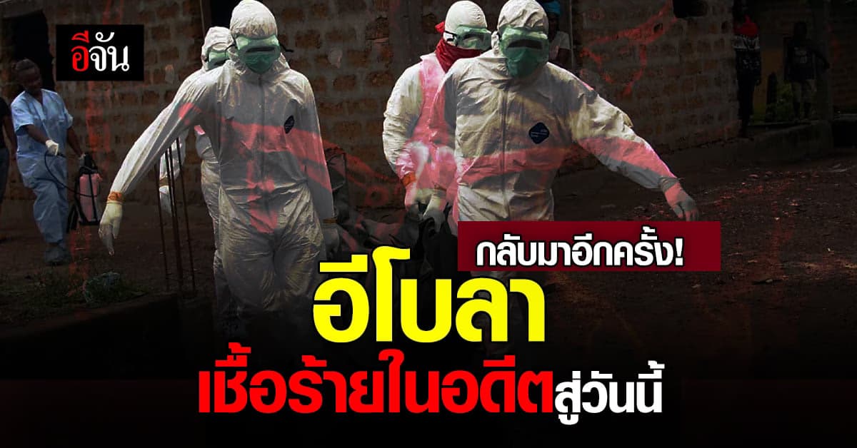 โรคอีโบลา อาการ และการป้องกัน