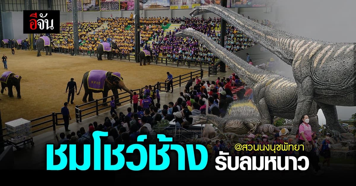 สวนนงนุชพัทยา ขยายเวลา โปร 1 แถม 1 รับลมหนาว ถึงปลายเดือน พ.ย. 65