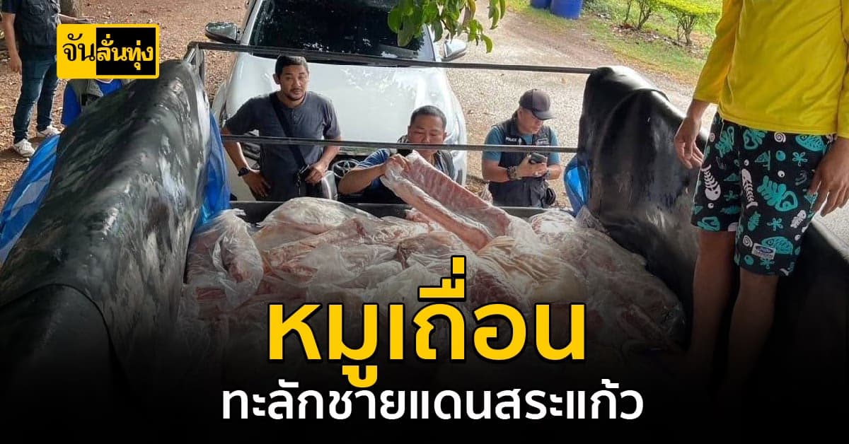 หมูเถื่อนทะลักชายแดน กว่า 2 ตัน ตำรวจเข้าสกัดและจับกุม