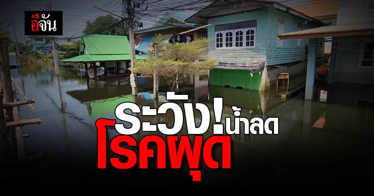 น้ำท่วมเริ่มลด สธ. เตือน ก่อนกลับเข้าบ้าน ระวัง โรคติดต่อ สัตว์มีพิษ