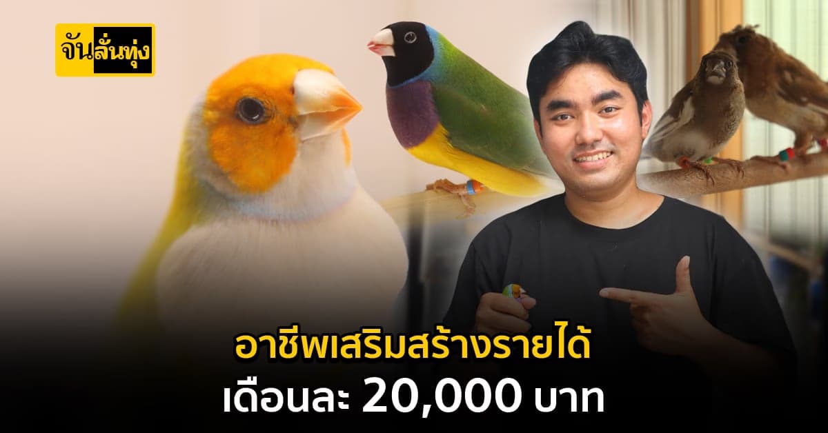 เลี้ยงนกฟินช์สร้างเงิน 20,000 บาท/เดือน