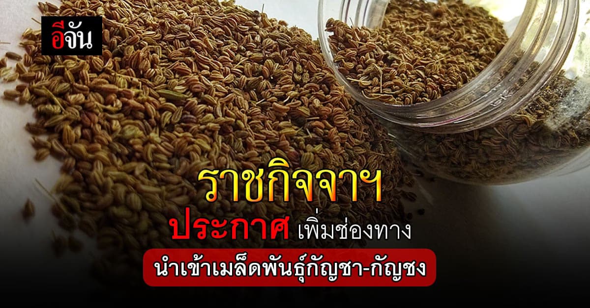 ราชกิจจานุเบกษา ประกาศเพิ่มช่องทางนำเข้า เมล็ดพันธุ์กัญชา กัญชง