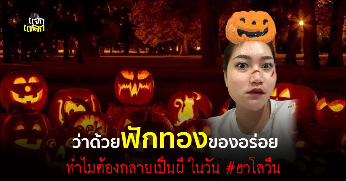 คลายสังสัย ทำไมฟักทอง ต้องมาทุกทีที่มี ฮาโลวีน