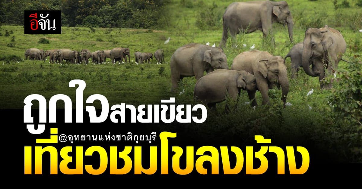 อุทยานแห่งชาติกุยบุรี เปิดให้เที่ยวแล้ว รู้ยัง?