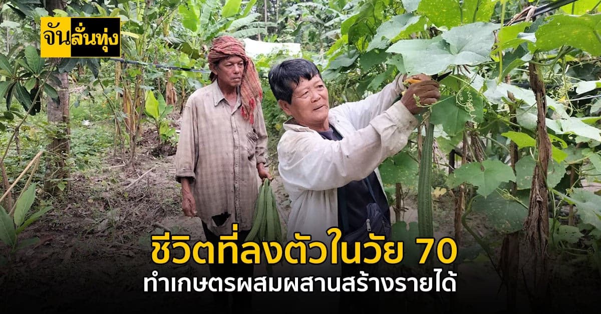 สูงวัยแต่ใจรักเกษตร ทำสวนผสมผสานในพื้นที่แค่ 3 ไร่ สร้างรายได้