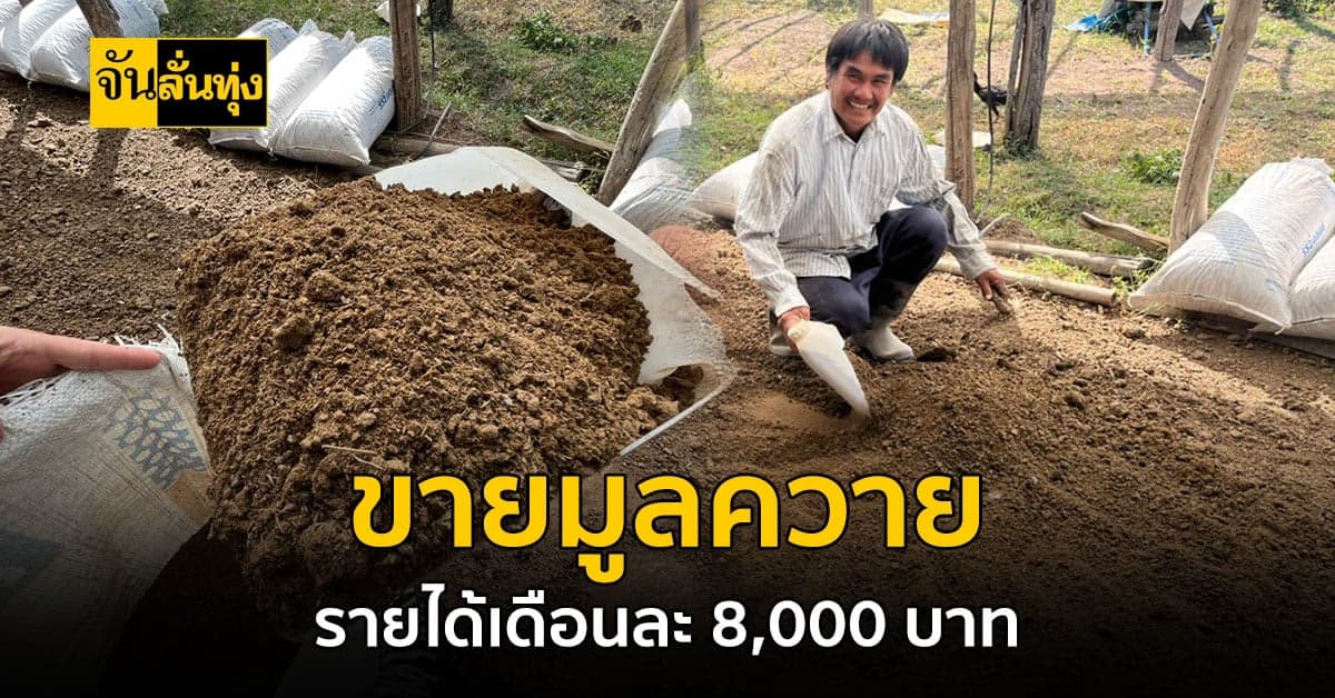 ขายมูลควายตากแห้ง สร้างรายได้เฉียดหมื่นต่อเดือน