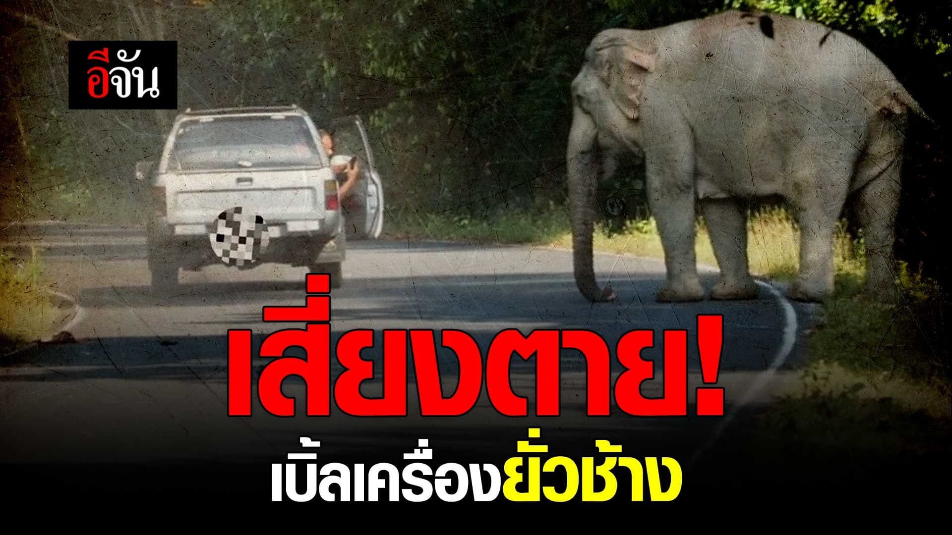 🎬 เสี่ยงตาย! เบิ้ลเครื่องยั่วช้าง