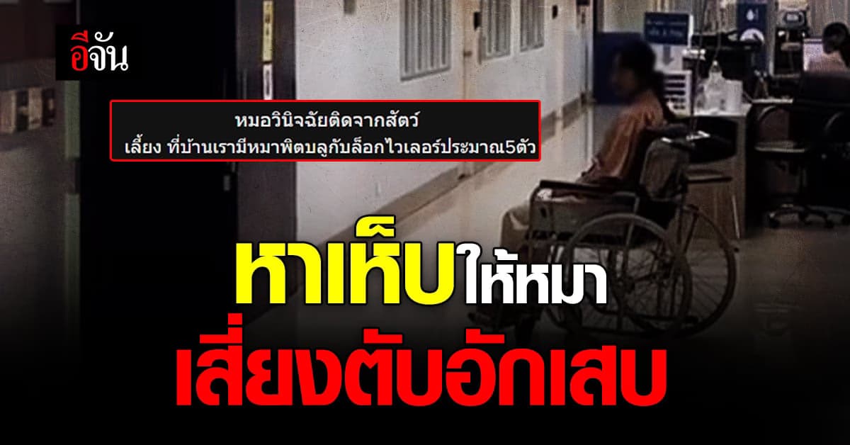 หนุ่มโพสต์เตือน น้องสาวป่วยตับอักเสบ เพราะ ชอบหาเห็บให้หมา