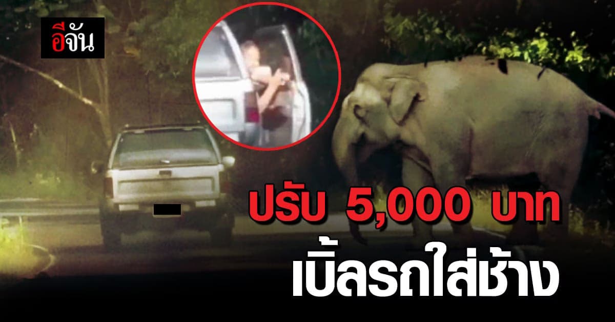 ปรับ 5 พันบาท ชายเบิ้ลรถใส่ช้าง เขาใหญ่