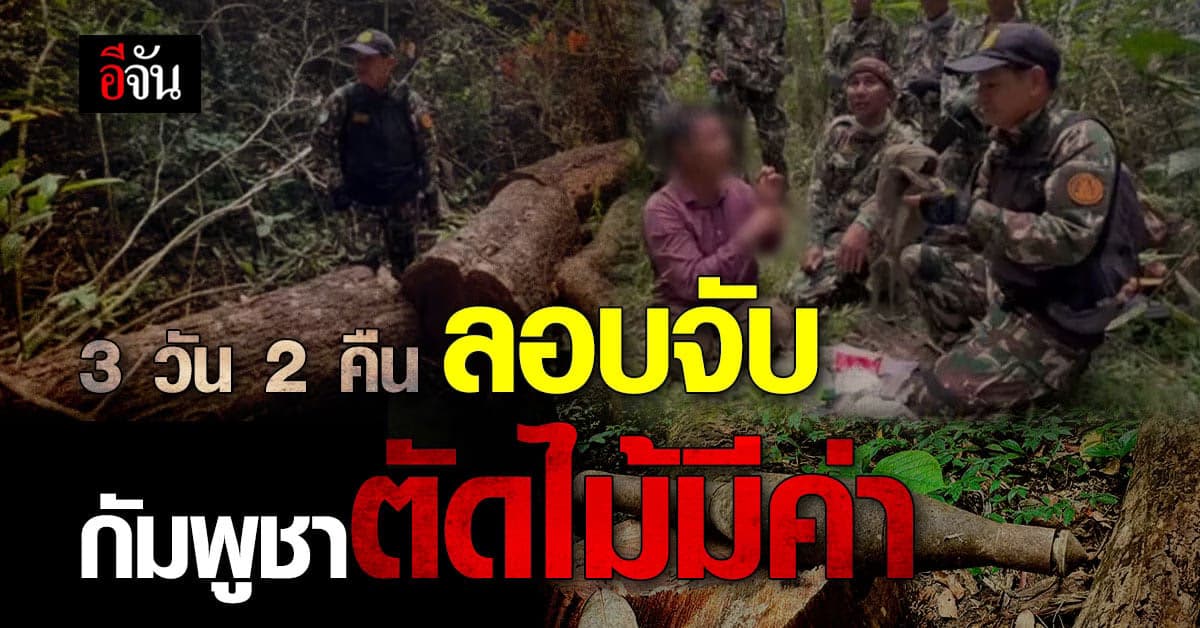 กัมพูชาลอบตัดไม้มีค่า พกระเบิดป้องกันตัว จนท.จับ 1 ราย