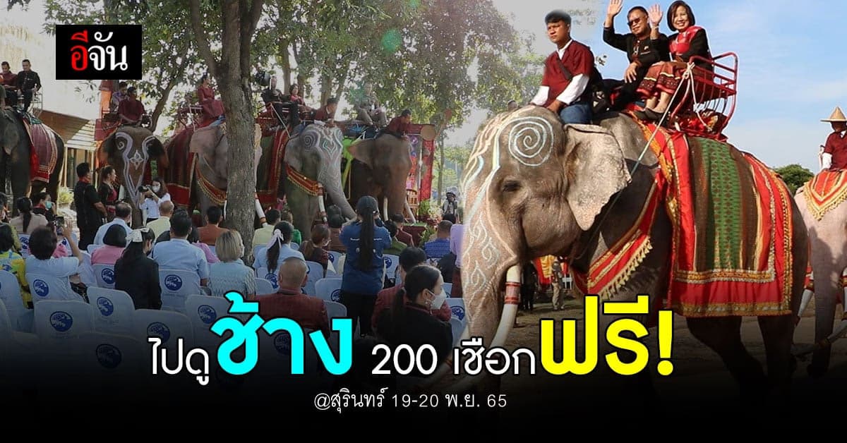 สุรินทร์ถิ่นเมืองช้าง กับงานประจำปี มหัศจรรย์งานช้างสุรินทร์