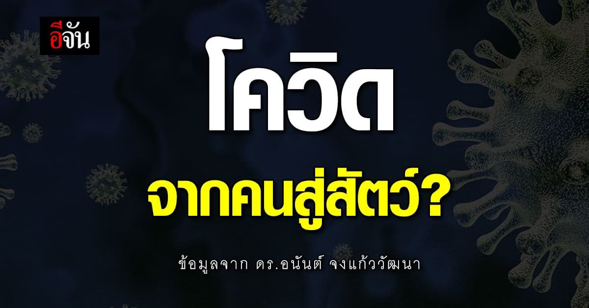 ผลวิจัยในอเมริกาเผย โควิด กระโดดจากคนไปหาสัตว์?