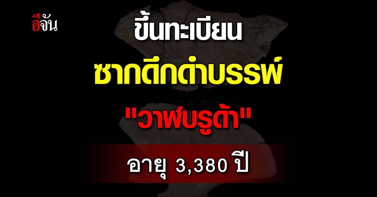 ราชกิจจาฯ ขึ้นทะเบียนซากดึกดำบรรพ์ “วาฬบรูด้า” อายุ 3,380 ปี