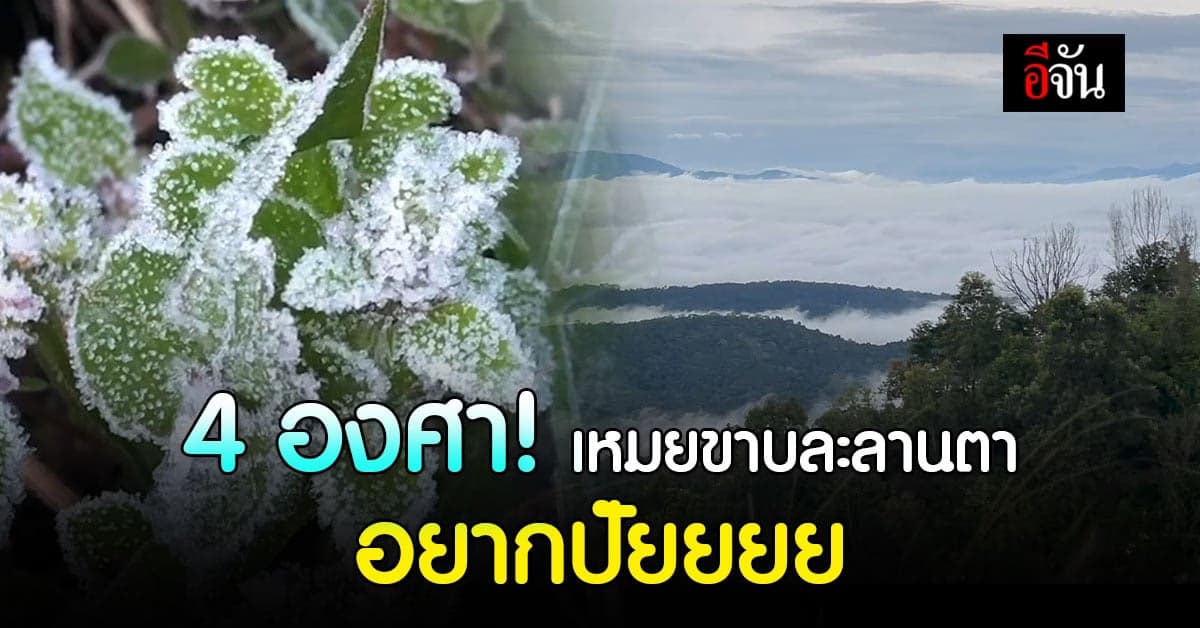 เชียงใหม่ หนาวต่อเนื่อง ยอดอินทนนท์ ต่ำสุด 4 องศา เกิดเหมยขาบทั่วไป