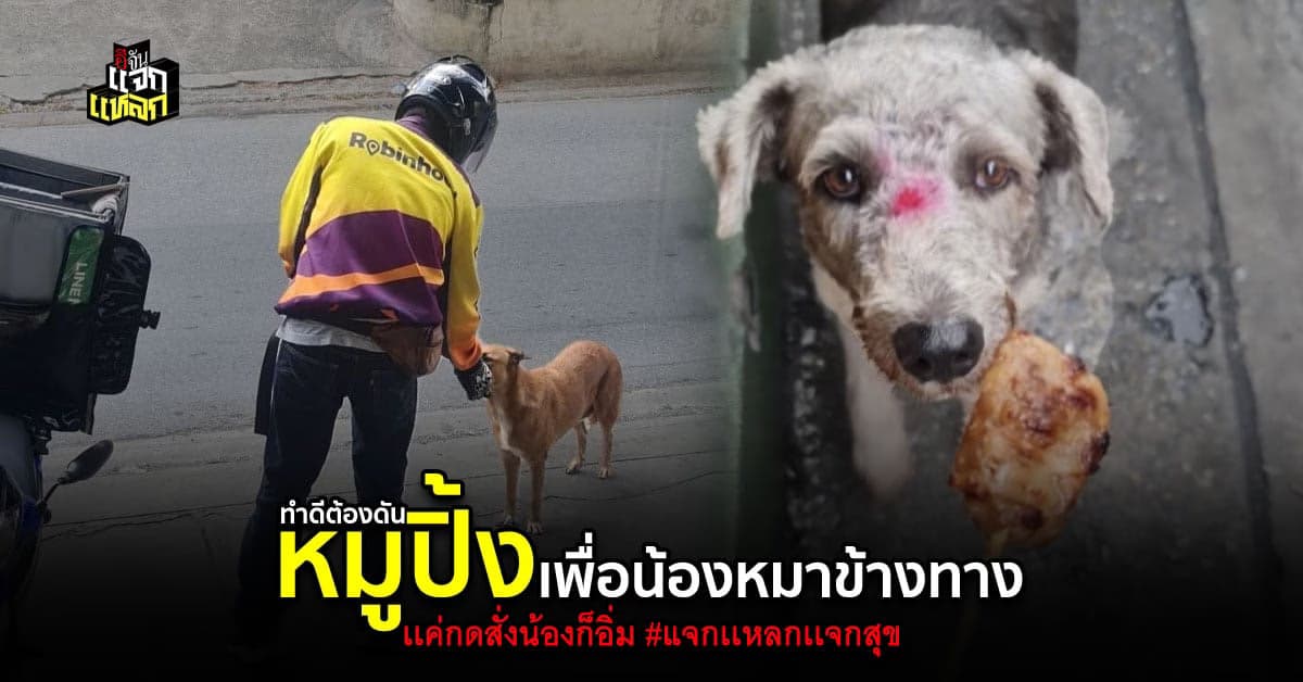 ทัชใจมาก ร้านหมูปิ้งรัชดา36 ขายหมูปิ้งเพื่อน้องหมาข้างทาง