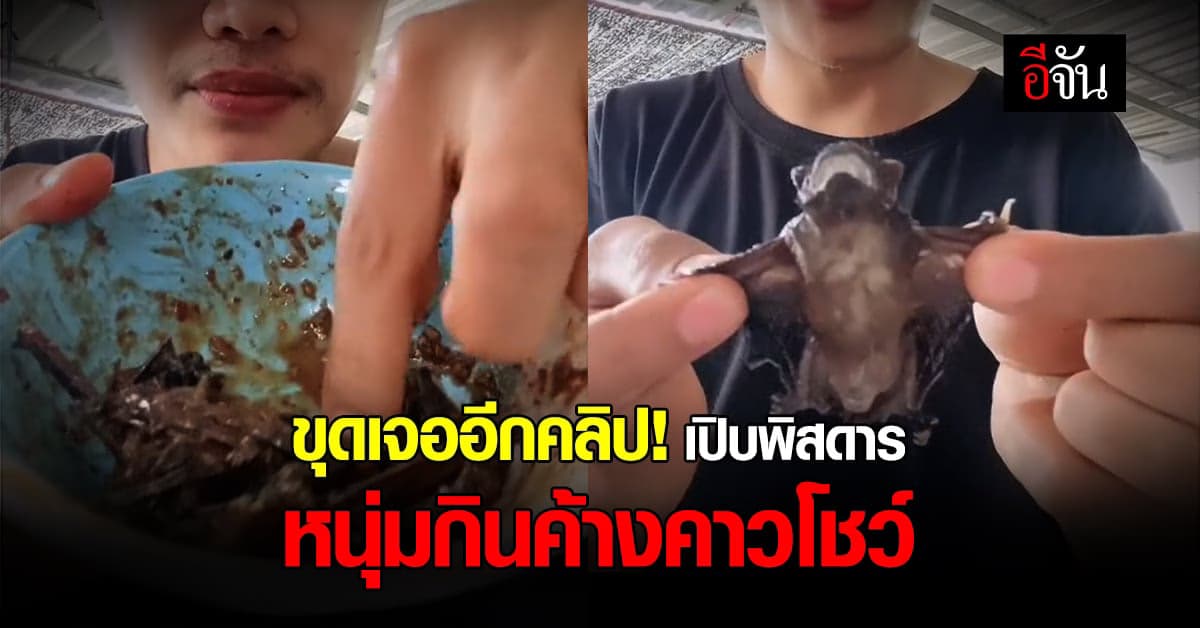 อย่าหากิน หนุ่มโพสต์คลิปเปิบพิสดาร กินค้างคาวโชว์