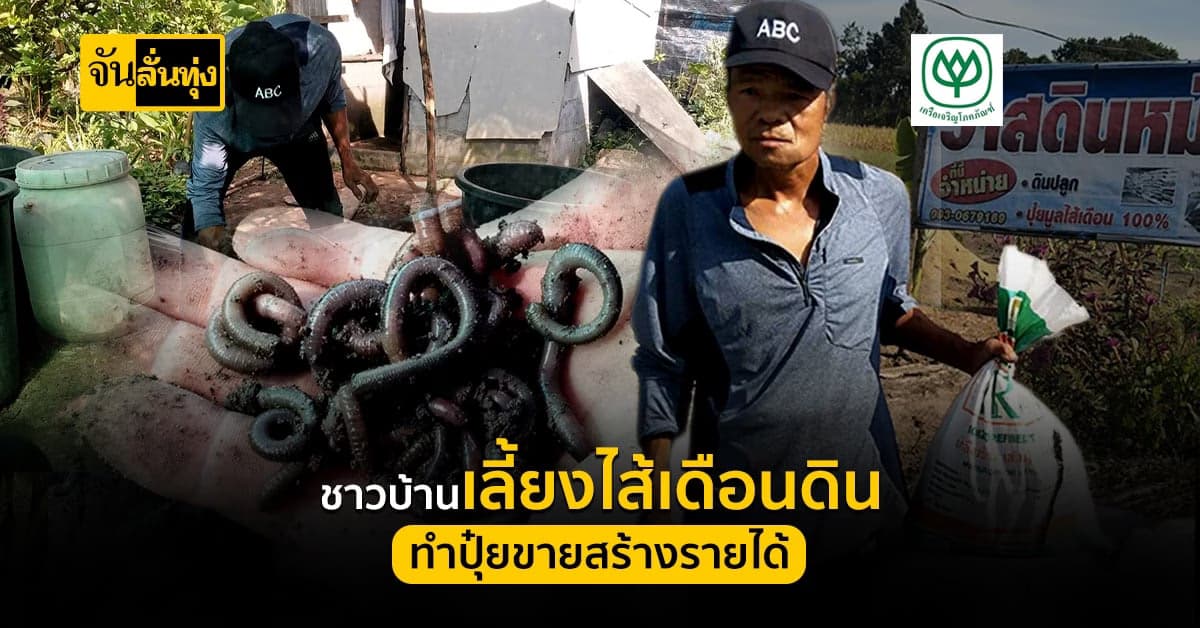 เลี้ยงไส้เดือนดินขายปุ๋ย สร้างอาชีพสร้างเงิน