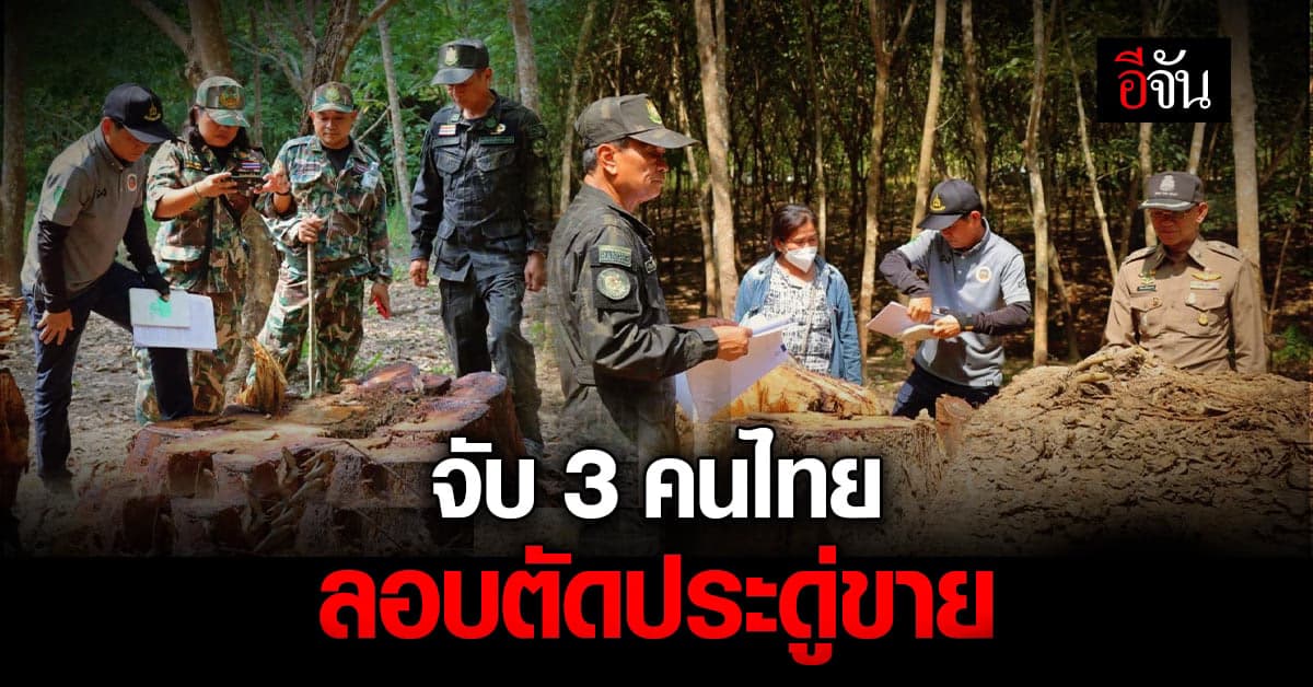 ชัยวัฒน์ จับ 3 คนไทย เข้าลักลอบ ตัด ไม้ประดู่ ในเขตอนุรักษ์