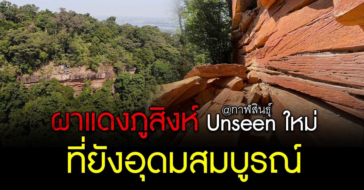 ผาแดงภูสิงห์ จ.กาฬสินธุ์ Unseen ใหม่ ที่ยังสมบูรณ์