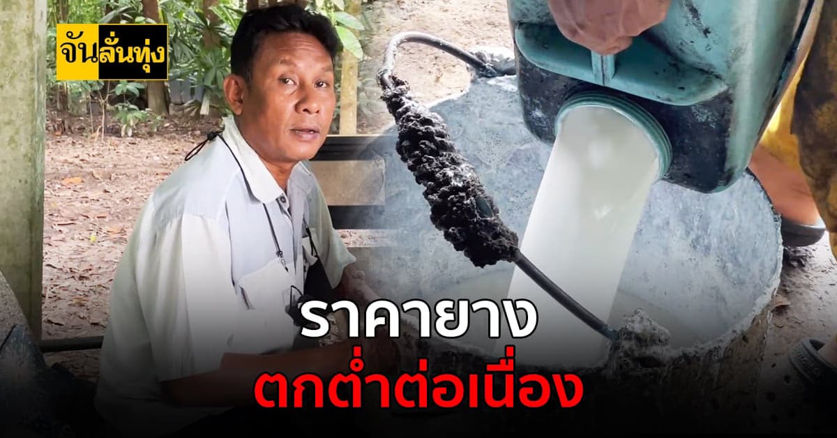 ชาวสวนทุกข์ซ้ำ! ราคายางดิ่งเหลือ 40 บาท/กก. สวนทางค่าครองชีพ