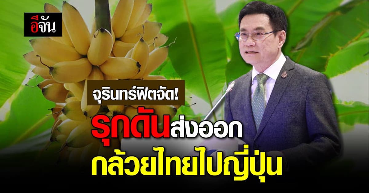 จุรินทร์หารือทวิภาคี ดันกล้วยไทยส่งออกไปญี่ปุ่นเพิ่มอีก 5,000 ตัน