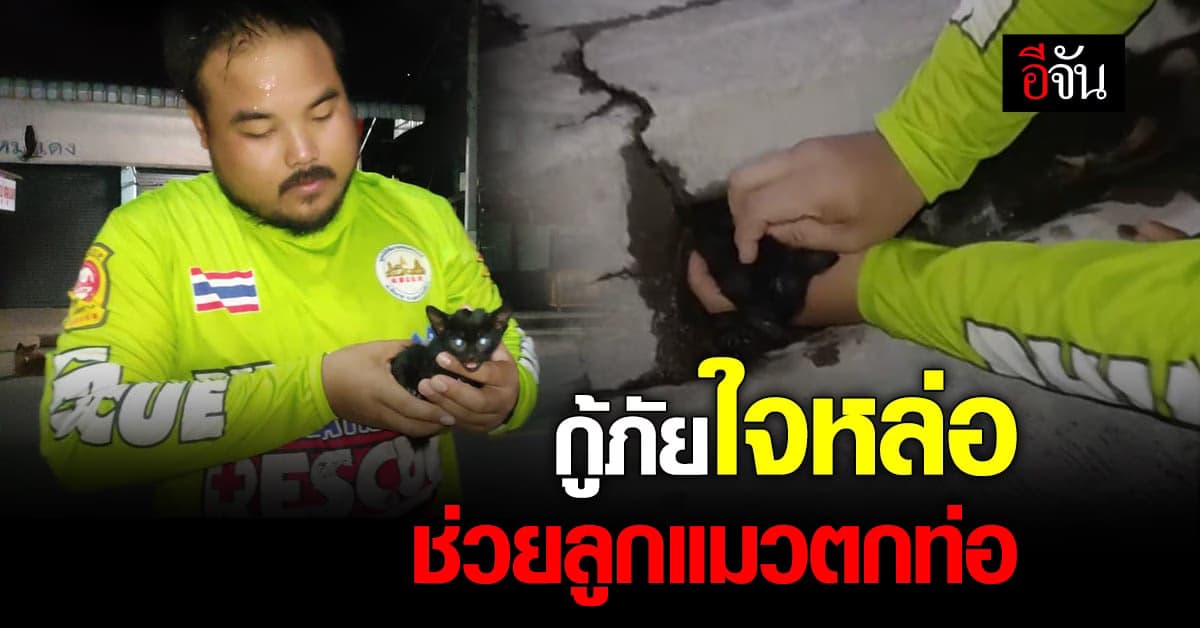 กู้ภัยใจดี ช่วยลูกแมว พลัดตกท่อระบายน้ำ กลางตลาดสด ก่อนรับเลี้ยง