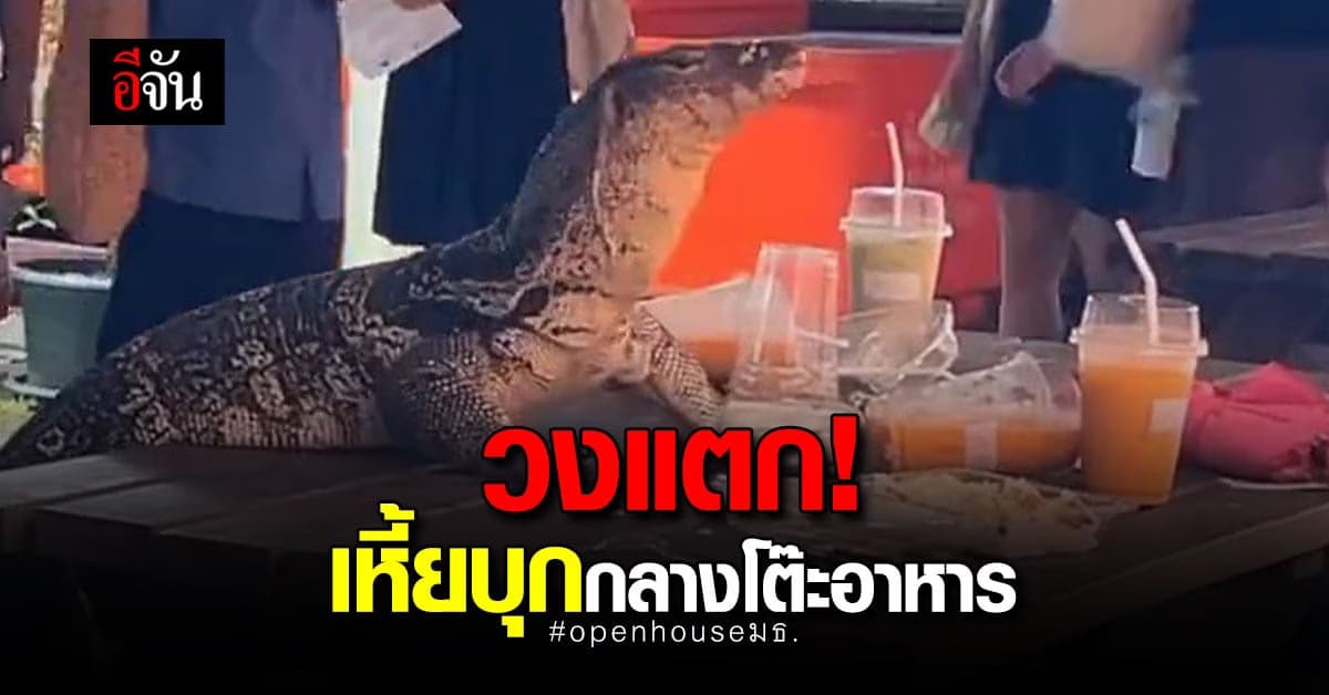 วงแตก เหี้ย บุกงาน Openhouse มธ. แย่งข้าว แย่งน้ำ เด็กกิน