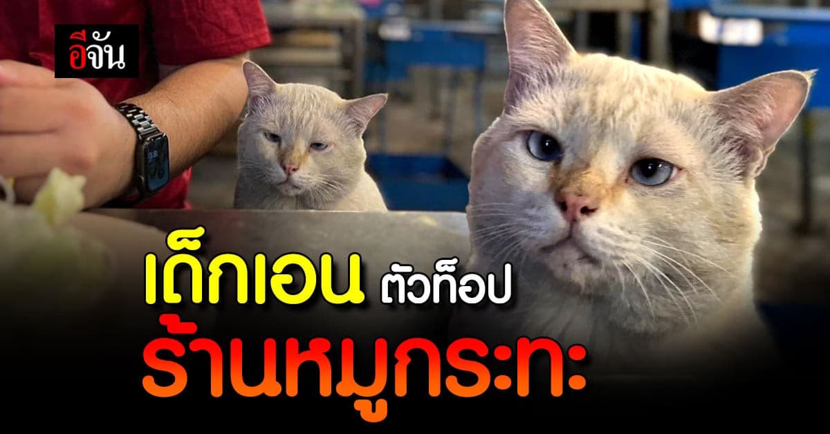 เด็กเอนร้านหมูกระทะ ที่มาแรงสุดๆ ทำเอาชาวโซเชียลโดนตกกันเป็นแถว