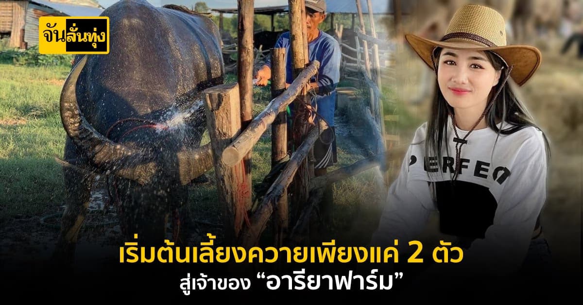เส้นทางไม่สวยหรู สู่สาวอายุเพียง 24 ปี กับฟาร์มกระบือ 123 ตัว