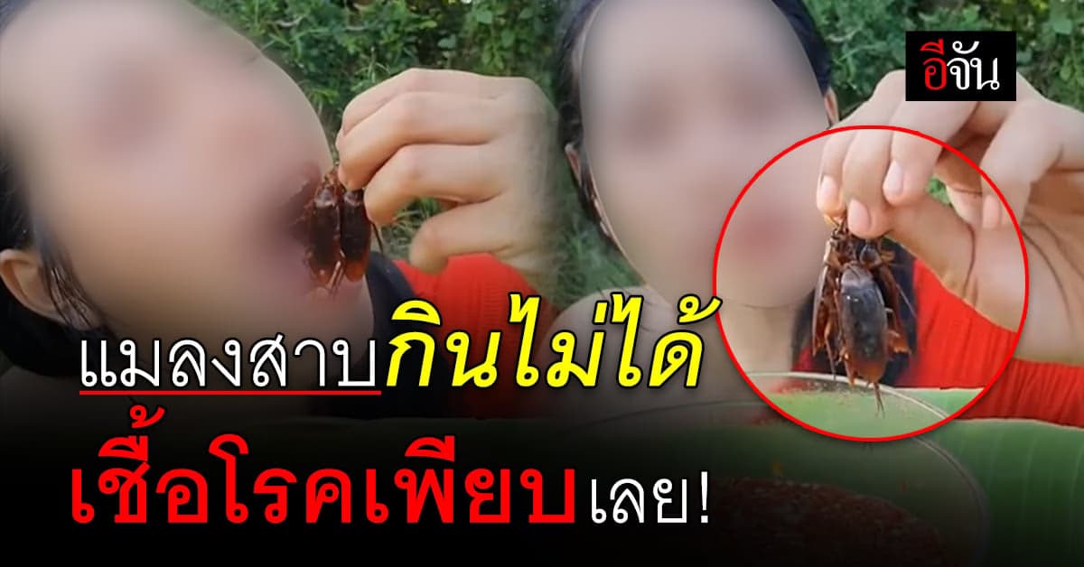 มาอีกแล้ว! คอนเทนต์เปิบพิสดาร กินแมลงสาบโชว์