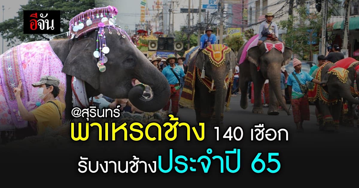 สุรินทร์ จัด พาเหรดช้าง 140 เชือก โต๊ะจีน 30 ตัน รับ งานช้างประจำปี 65