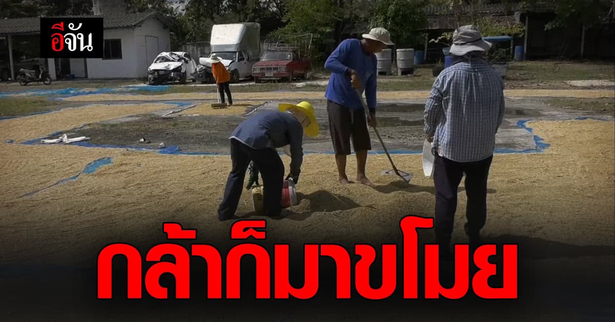 ขโมยดีนัก ตากข้าวในโรงพัก ซะเลย