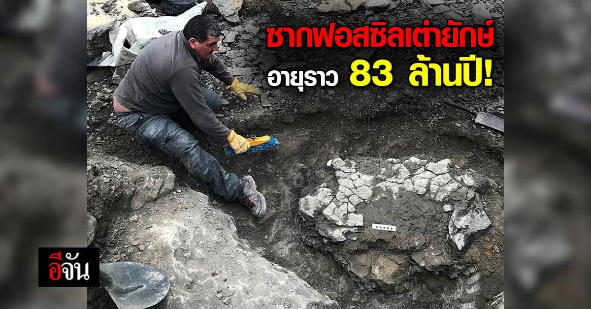 สเปน ขุดพบ ซากฟอสซิลเต่ายักษ์ อายุราว 83 ล้านปี!